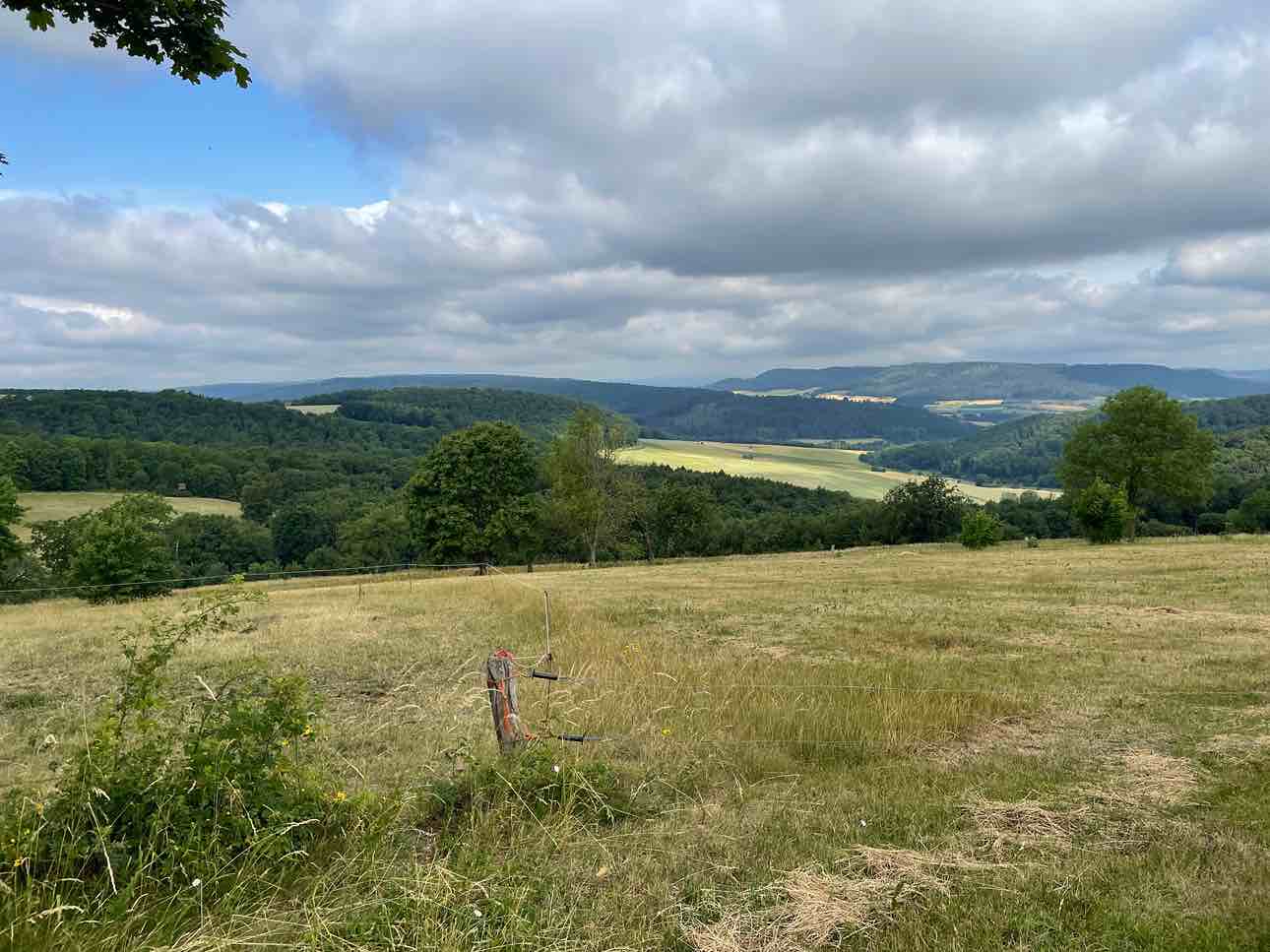 Bilferie